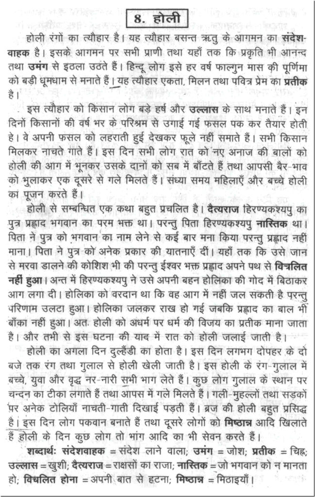 essay in hindi about