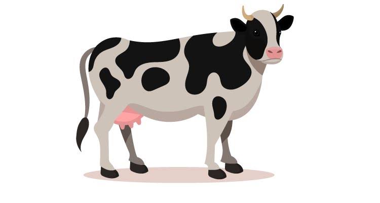 essay for cow in hindi