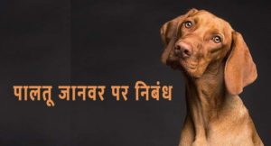essay-on-pets-in-hindi